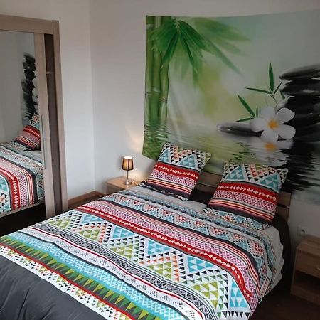 T3 Hyper-Centre Au Calme Tout Equipe Parking Prive Apartment Castres  Ngoại thất bức ảnh